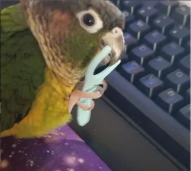 Spurts of Distilled Autismo Energy = Cool Stuff Author thumbnail