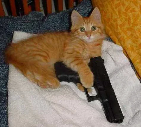 Release image