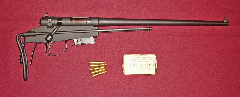 Release image