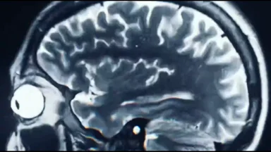 @SerotoninProjects Author thumbnail